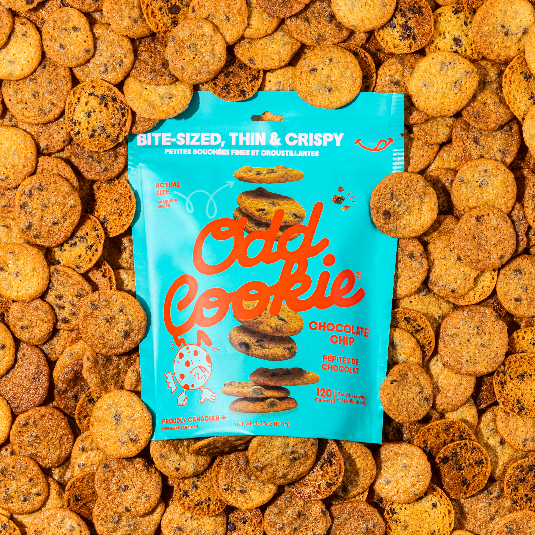 Odd Cookie Chocolate Chip